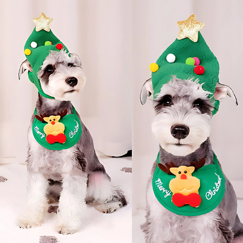 Huisdier in Kerstoutfit